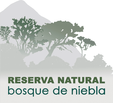 Bosque de Niebla